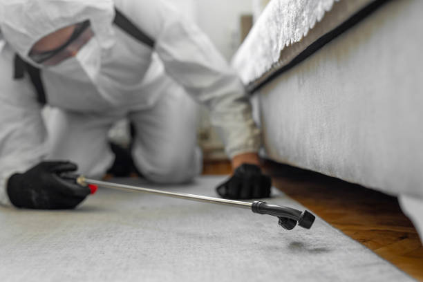 Professional Bed Bug Control technician working in Charlotte, TN