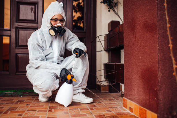 Reliable Bed Bug Control contractor in Charlotte, TN by Nex Pest Control