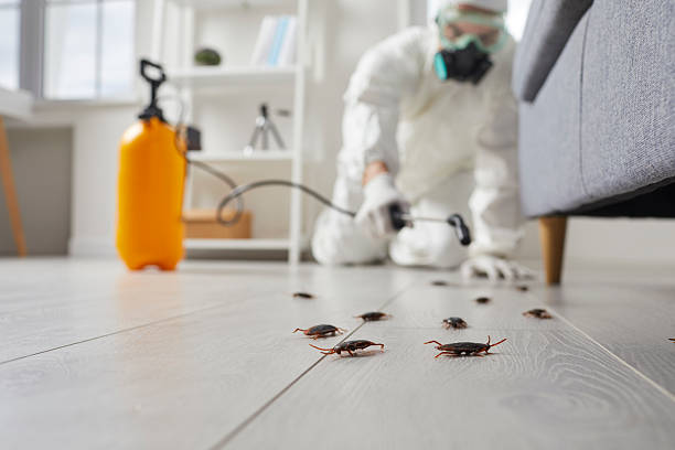 Trusted Rodent Control service in Charlotte, TN - Nex Pest Control